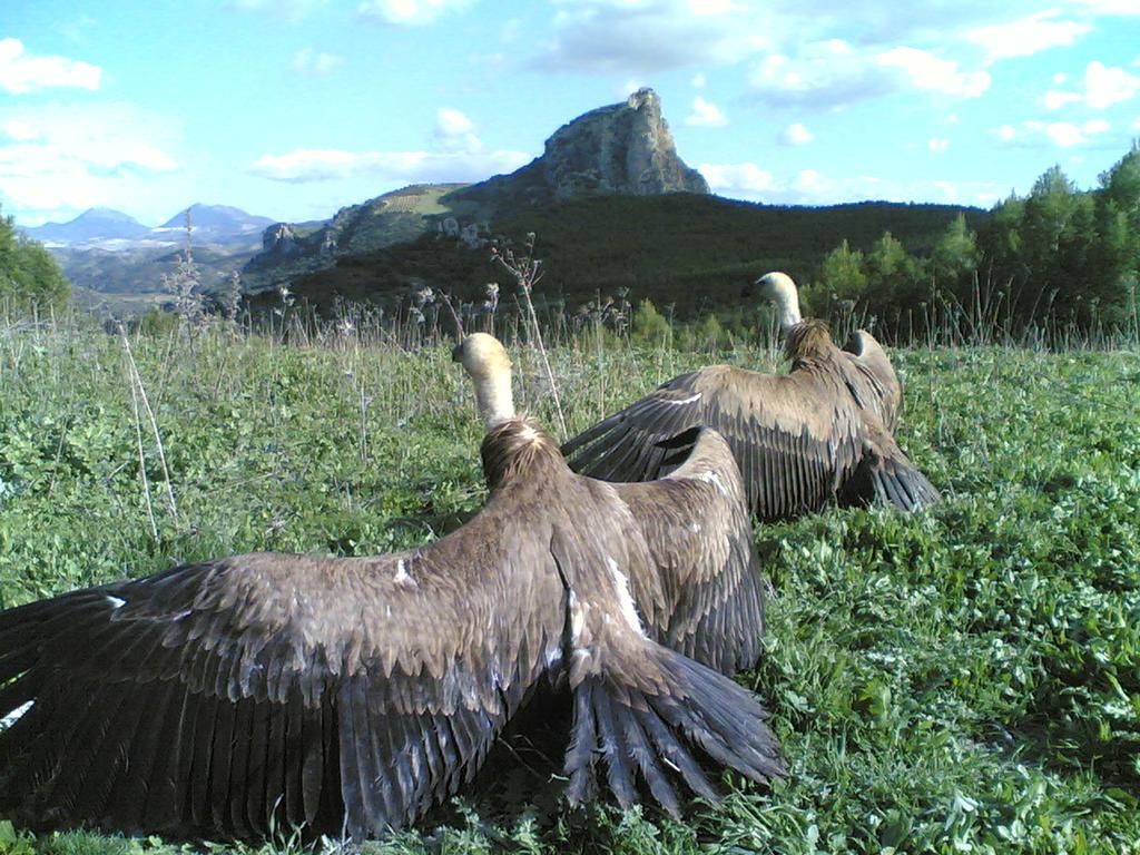 Casa Rural Coripe 外观 照片